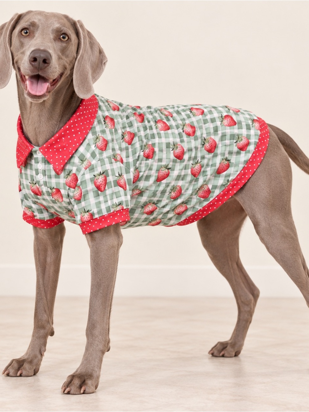 Griffy & Drake Strawberry Collared Dog Shirt 2XL